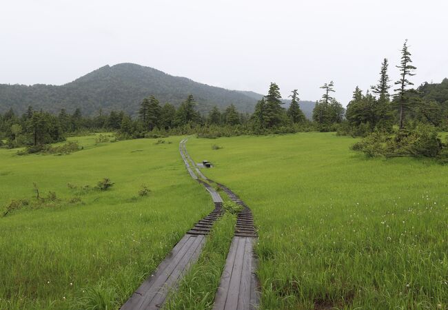 裏燧林道