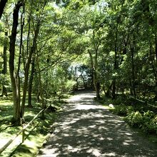 この参道が魅力的