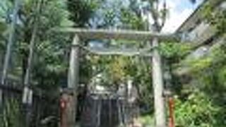  世田谷散策(10)で瀬田玉川神社に寄りました