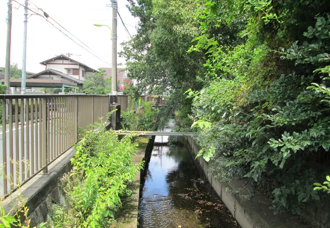 治大夫橋