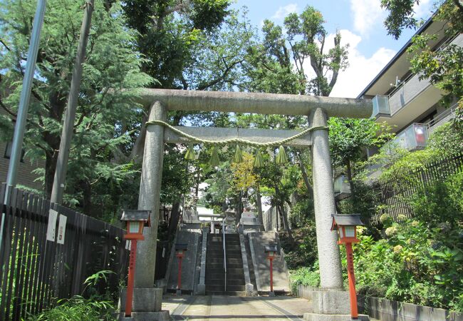  世田谷散策(10)で瀬田玉川神社に寄りました
