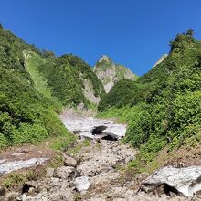 荒菅沢の雪渓から雨飾山を望む
