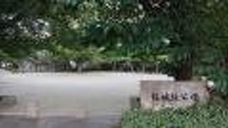 蝉時雨が印象的な、8月上旬の夕方でした