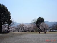 磯部桜川公園