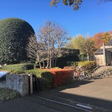 平成新道沿い