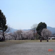 磯部桜川公園の風景