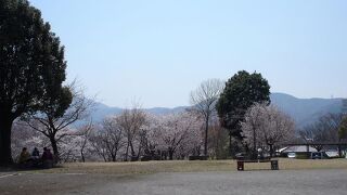 磯部桜川公園