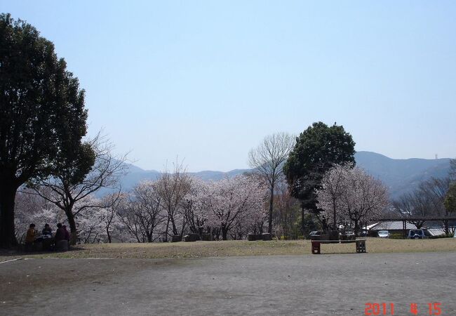 磯部桜川公園