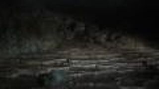 驚かされるばかり