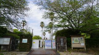 小さな変化や発見を楽しむ場所かな