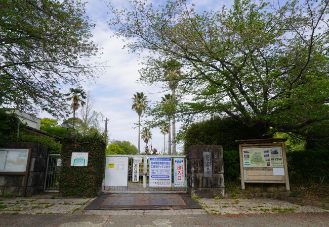 小さな変化や発見を楽しむ場所かな