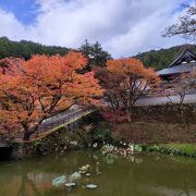 高源寺とセットで回れる紅葉の寺