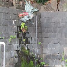 寺名の由来となった独鈷の滝