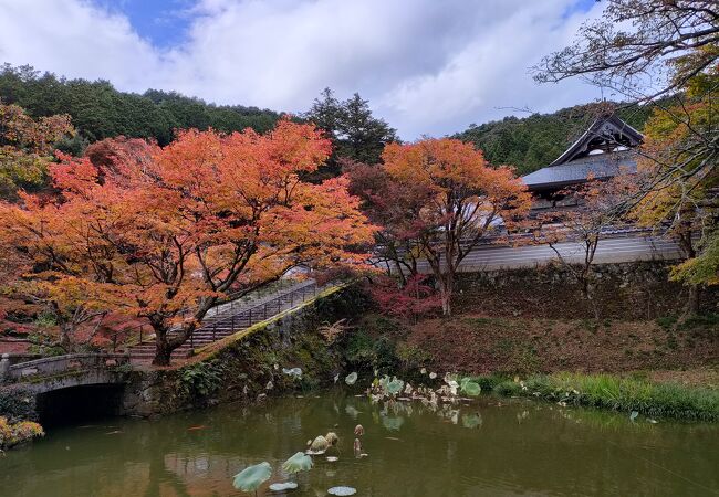 高源寺とセットで回れる紅葉の寺