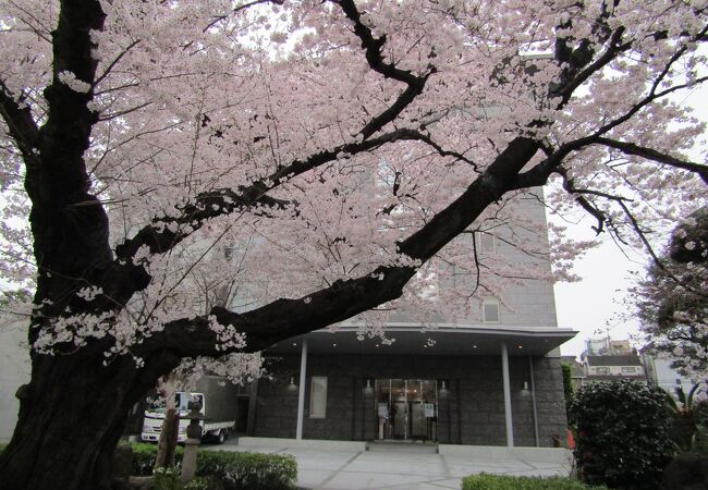 新旧が混在しているお寺