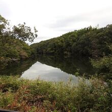 茨城県水郷県民の森の大膳池風景