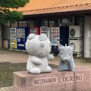 羽生水郷公園向かい