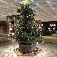 クリスマスシーズンにはフロントにツリーが飾られてていいですね