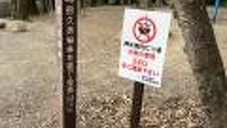 保久良神社磐境