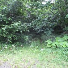 釧路湿原国立公園