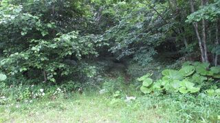 初夏の釧路湿原国立公園