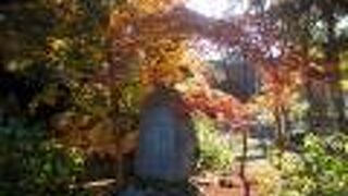 紅葉は入り口付近に多い