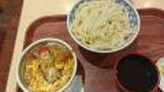 細切りうどん 天つるり