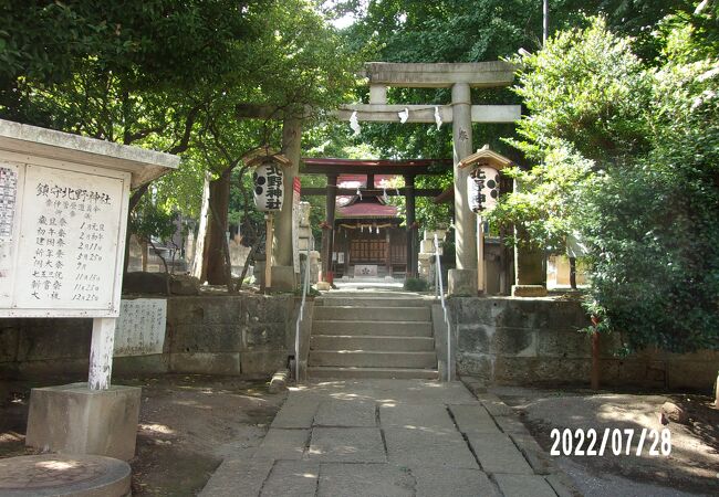 木々が豊かな静かな神社です。