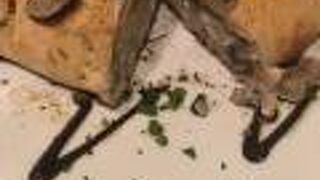 グランドハイアット