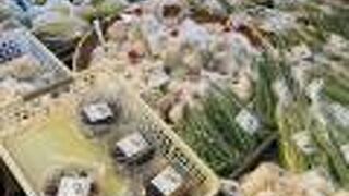 新鮮野菜が沢山の道の駅