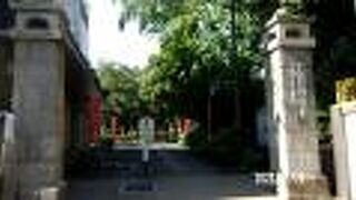 今は100体を超える観音菩薩が境内に置かれています。