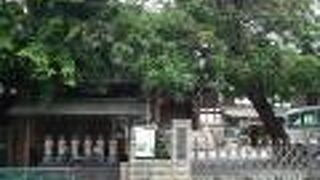 門の近くに並ぶお地蔵さま