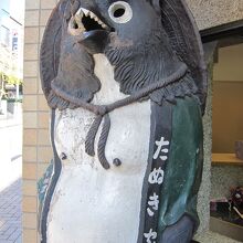 キュートな狸さん