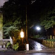 氷川神社の提灯が印象的でした