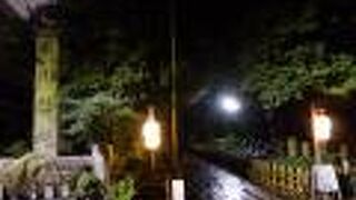 氷川神社の提灯が印象的でした