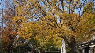 北千住で七福神めぐり