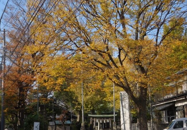 北千住で七福神めぐり