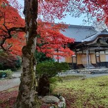 興聖寺(旧秀隣寺庭園)