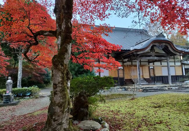 興聖寺(旧秀隣寺庭園)