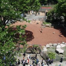 ２階の席からの眺め