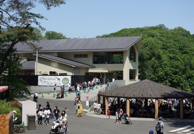 サバンナキッチン