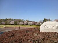 前山公園