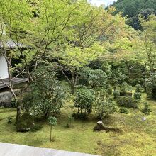 本堂からのお庭。