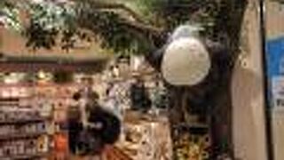 トトロがいました