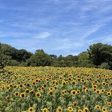 長居公園 