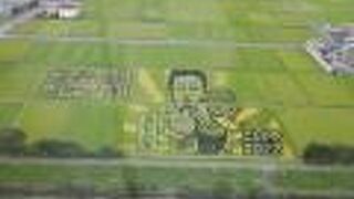 越谷田んぼアート２０２２