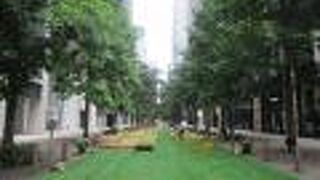 丸の内ストリートパークを行っていました