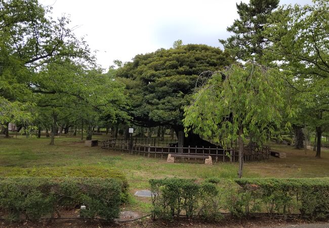 見どころが多い公園