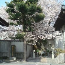 桜が咲いていました（2021.3.26）