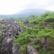 浅間山と溶岩と高山植物が作る風景が素晴らしかった